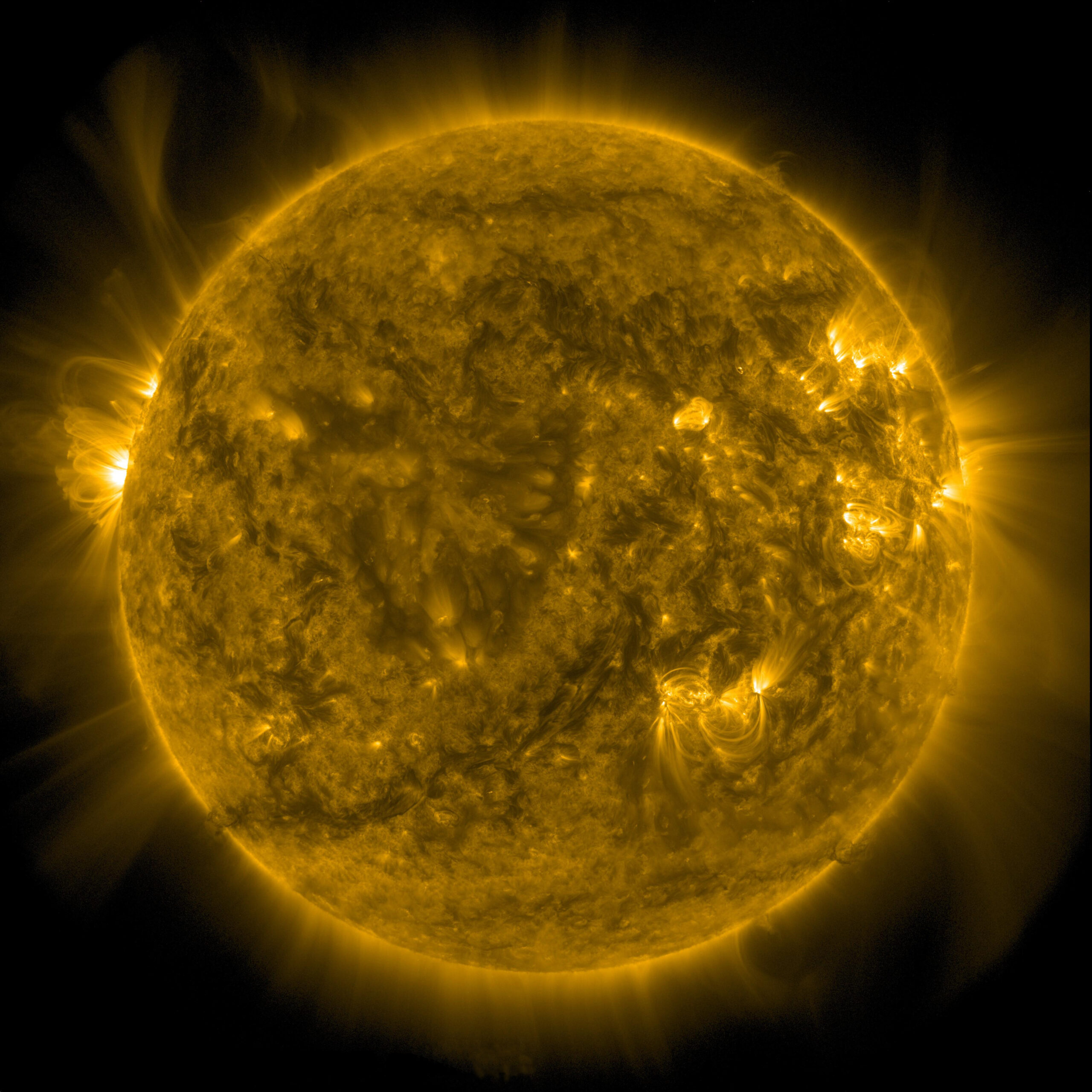pia26681